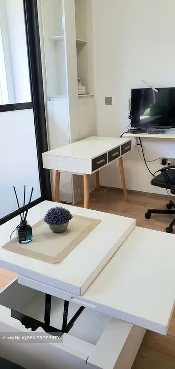 Skysuites@Anson (D2), Apartment #588776201
